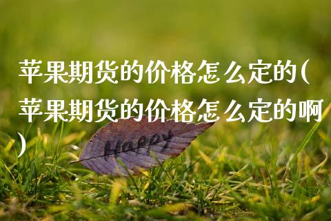 苹果期货的价格怎么定的(苹果期货的价格怎么定的啊)