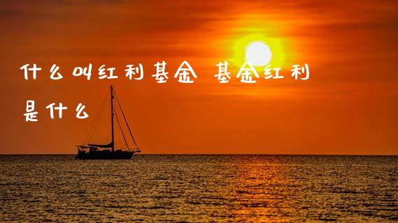什么叫红利基金 基金红利是什么