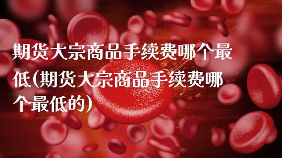 期货大宗商品手续费哪个最低(期货大宗商品手续费哪个最低的)