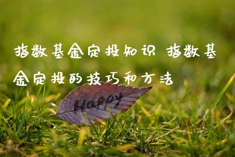 指数基金定投知识 指数基金定投的技巧和方法