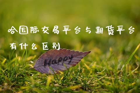 哈国际交易平台与期货平台有什么区别