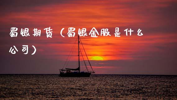 蜀银期货（蜀银金服是什么公司）