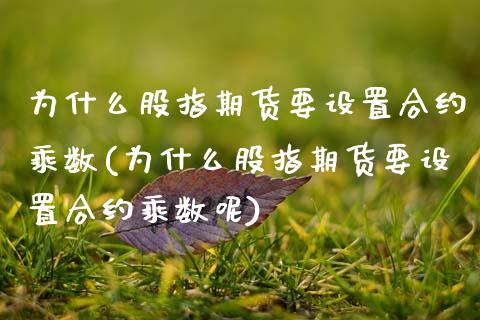 为什么股指期货要设置合约乘数(为什么股指期货要设置合约乘数呢)