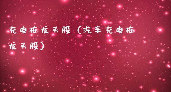 充电桩龙头股（汽车充电桩龙头股）