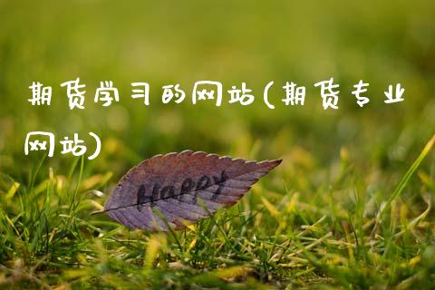 期货学的网站(期货专业网站)