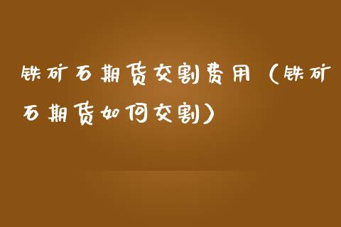 铁矿石期货交割费用（铁矿石期货如何交割）