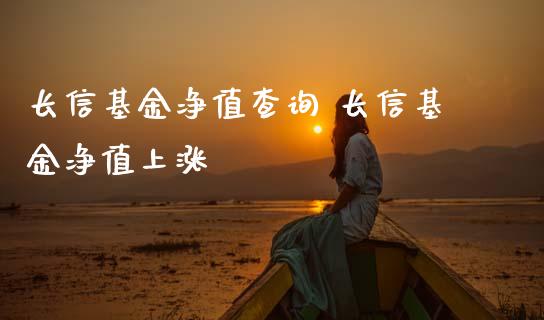 长信基金净值查询 长信基金净值上涨