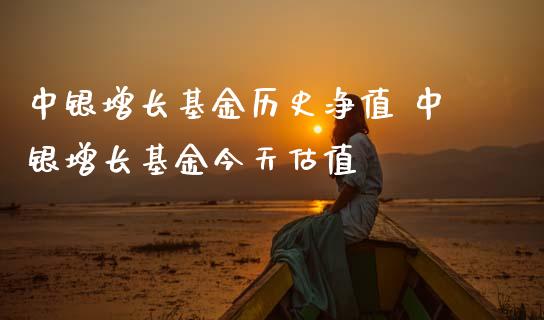 中银增长基金历史净值 中银增长基金今天估值