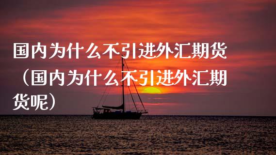 国内为什么不引进外汇期货（国内为什么不引进外汇期货呢）