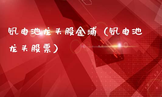 钒电池龙头股金浦（钒电池龙头股票）