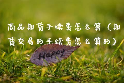 商品期货手续费怎么算（期货交易的手续费怎么算的）