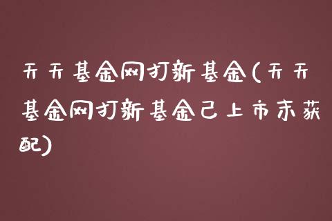 天天基金网打新基金(天天基金网打新基金己上市末获配)