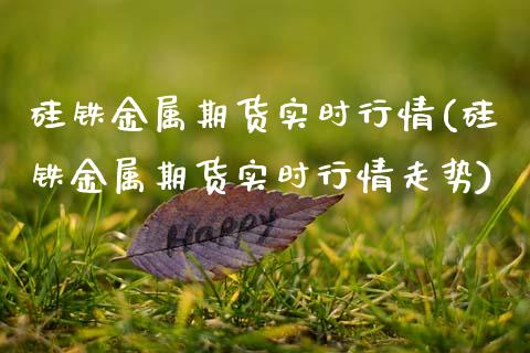 硅铁金属期货实时行情(硅铁金属期货实时行情走势)