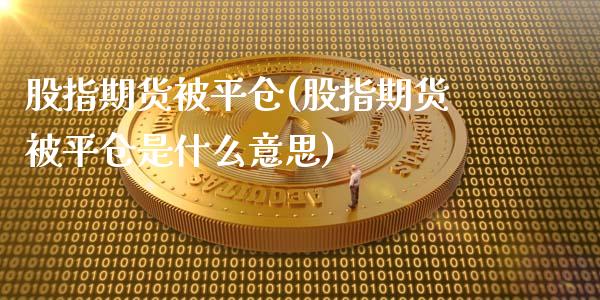 股指期货被平仓(股指期货被平仓是什么意思)