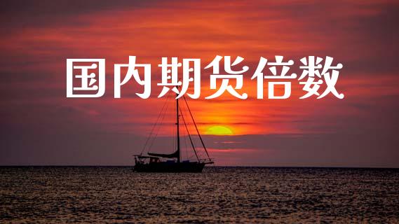 国内期货倍数