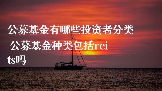 公募基金有哪些投资者分类 公募基金种类包括reits吗