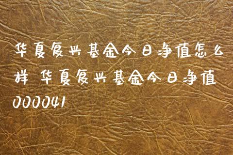 华夏复兴基金今日净值怎么样 华夏复兴基金今日净值000041