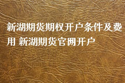新湖期货期权开户条件及费用 新湖期货开户