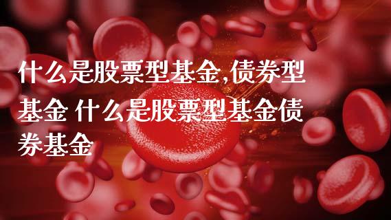 什么是股票型基金,债券型基金 什么是股票型基金债券基金