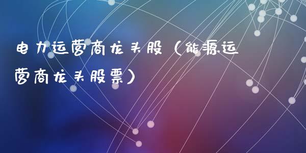 电力运营商龙头股（能源运营商龙头股票）