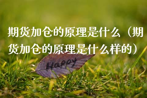 期货加仓的原理是什么（期货加仓的原理是什么样的）