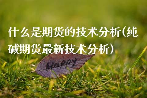 什么是期货的技术分析(纯碱期货最新技术分析)