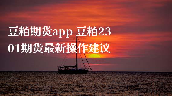 豆粕期货app 豆粕2301期货最新操作建议