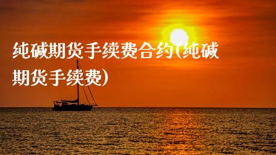 纯碱期货手续费合约(纯碱期货手续费)