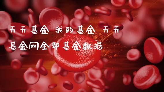 天天基金_我的基金 天天基金网全部基金数据