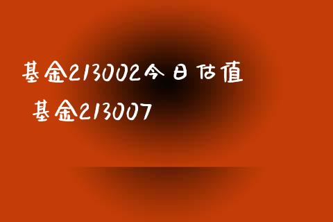 基金213002今日估值 基金213007