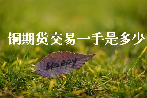 铜期货交易一手是多少_https://www.dglong8.com_财经要闻_第1张