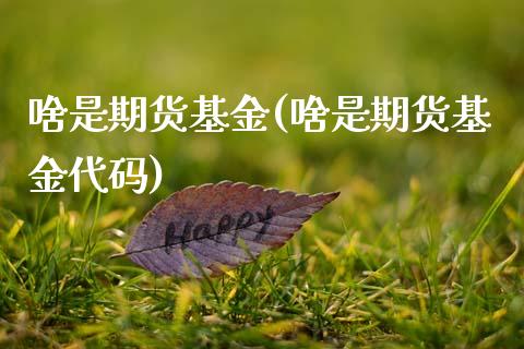 啥是期货基金(啥是期货基金代码)