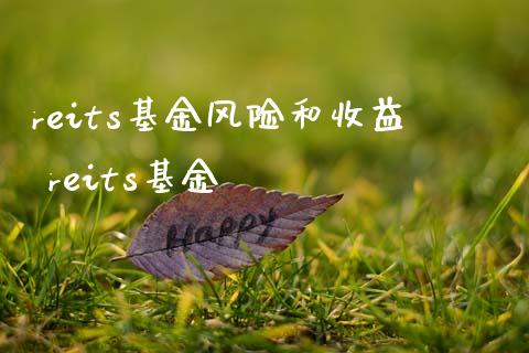 reits基金风险和收益 reits基金