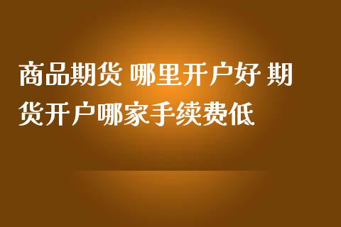商品期货 哪里开户好 期货开户哪家手续费低
