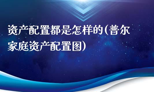 资产配置都是怎样的(普尔家庭资产配置图)