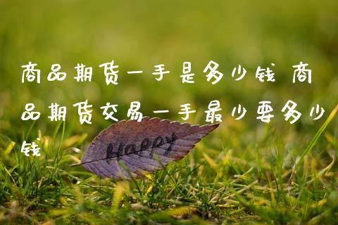 商品期货一手是多少钱 商品期货交易一手最少要多少钱