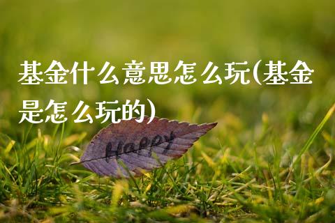 基金什么意思怎么玩(基金是怎么玩的)