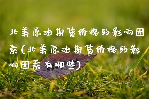 北美原油期货价格的影响因素(北美原油期货价格的影响因素有哪些)