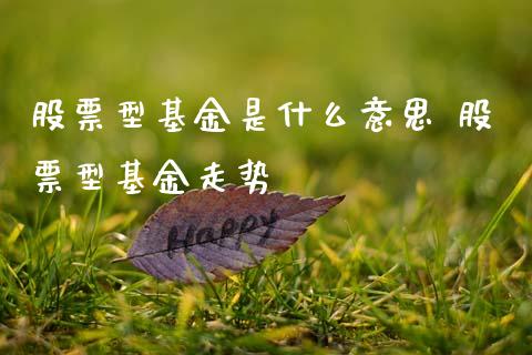股票型基金是什么意思 股票型基金走势