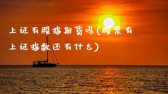 上证有股指期货吗(股票有上证指数还有什么)