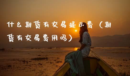 什么期货有交易提示费（期货有交易费用吗）