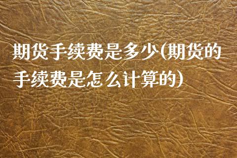 期货手续费是多少(期货的手续费是怎么计算的)