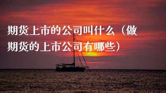 期货上市的公司叫什么（做期货的上市公司有哪些）