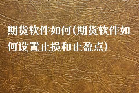 期货软件如何(期货软件如何设置止损和止盈点)_期货理财_第1张_宇龙理财网 期货软件如何(期货软件如何设置止损和止盈点)_https://www.dglong8.com_期货理财_第1张