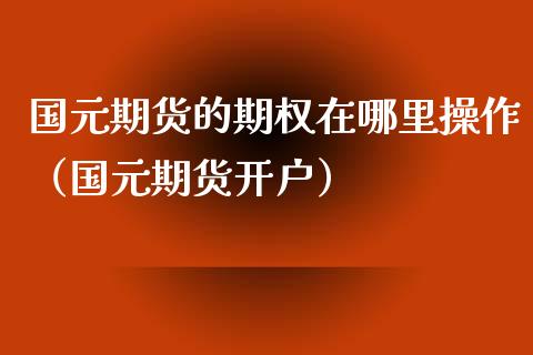 国元期货的期权在哪里操作（国元期货开户）