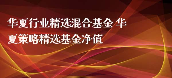 华夏行业精选混合基金 华夏策略精选基金净值