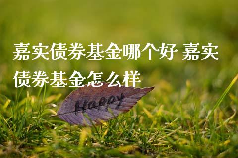 嘉实债券基金哪个好 嘉实债券基金怎么样