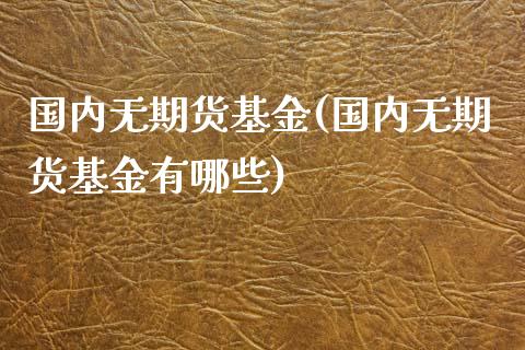 国内无期货基金(国内无期货基金有哪些)