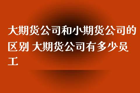 大期货公司和小期货公司的区别 大期货公司有多少员工