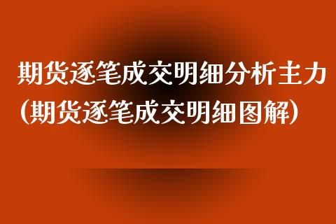 期货逐笔成交明细分析主力(期货逐笔成交明细图解)